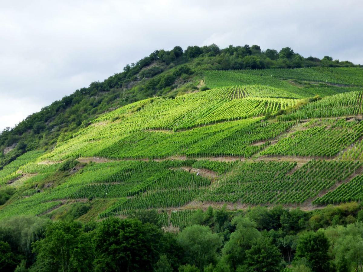 Relaxen Im Alten Winzerhaus Fewo Eg 来赫 外观 照片